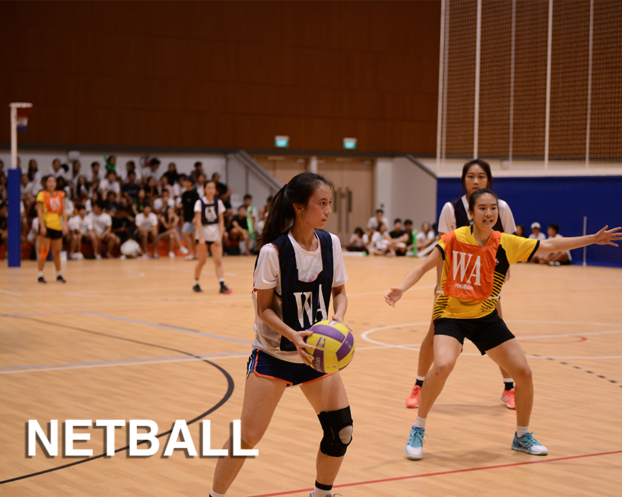 netball2fe3720808f546e496da306dd698de18