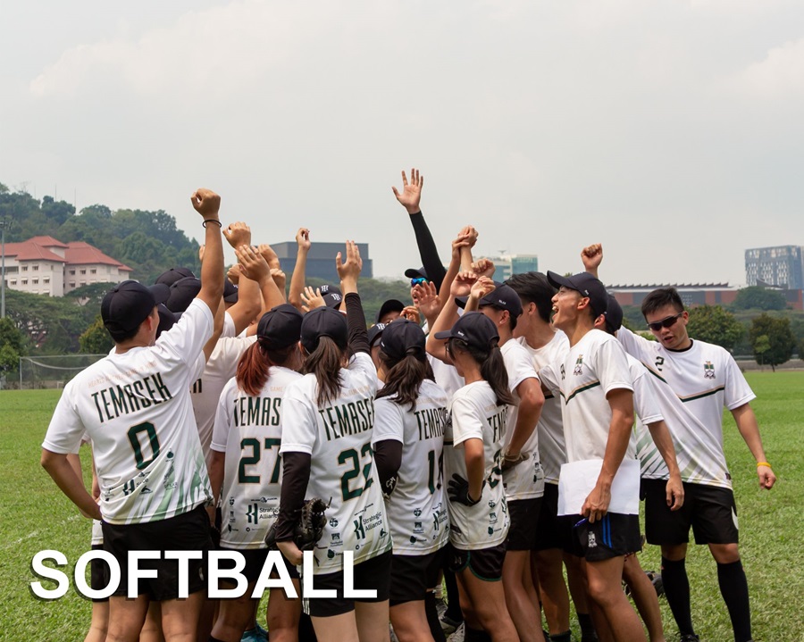 softball-(4).tmb-ze-900-720