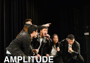 amplitude91fc69a1872f493b977ee9c06b62c2a1